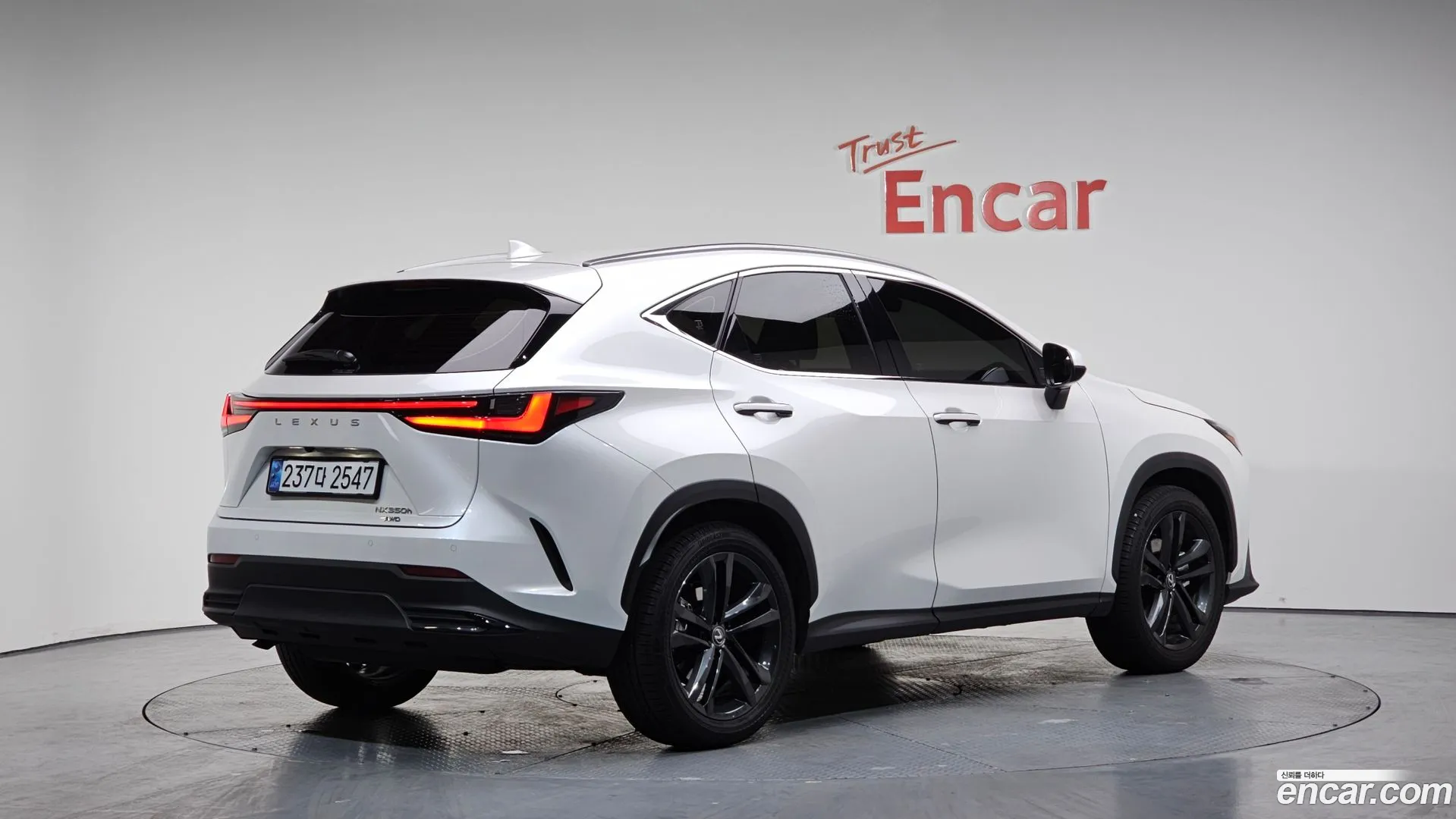 Lexus NX 350h 2024 — фото 1