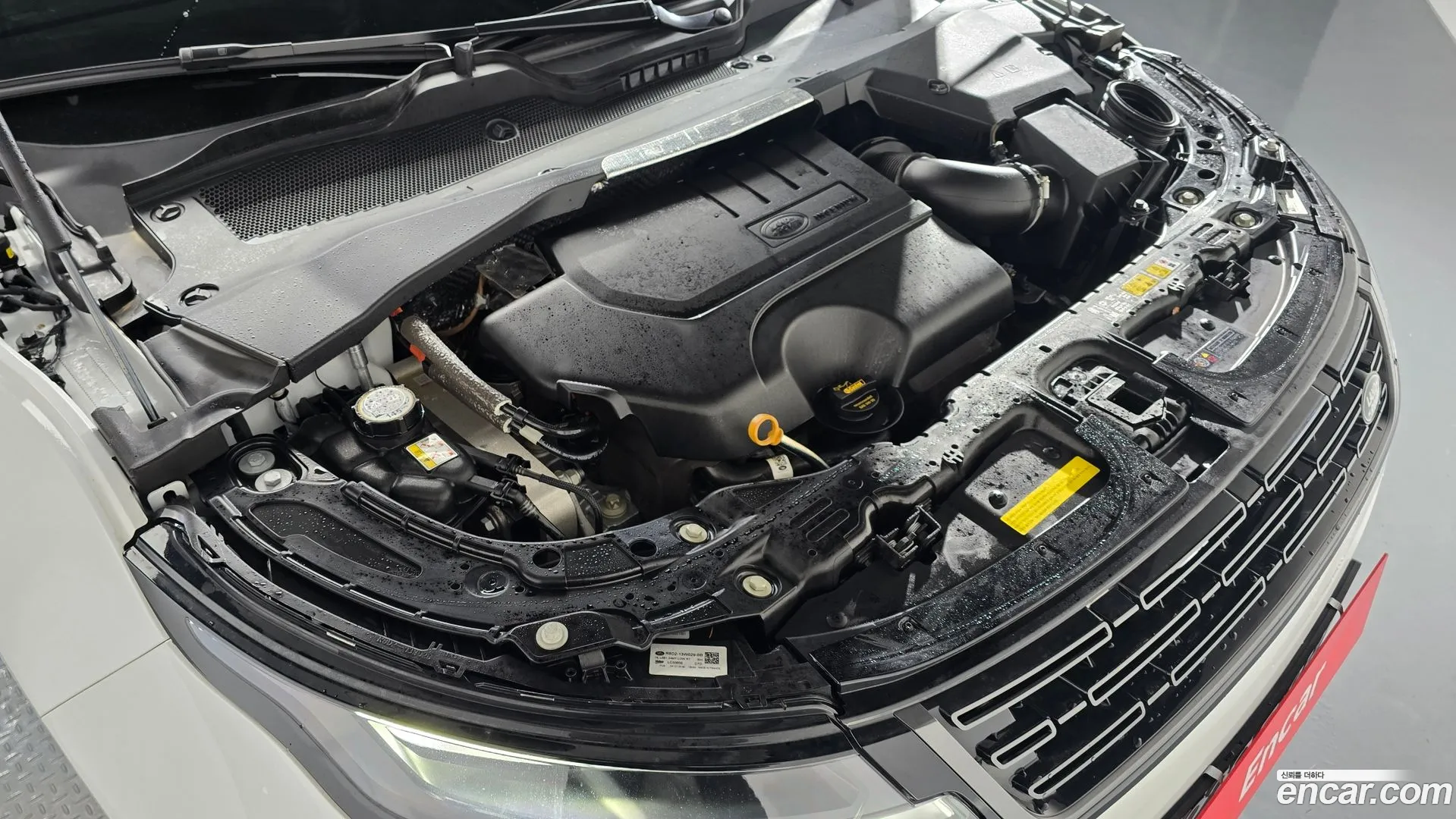 Land Rover Range Rover Evoque 2025 — фото 1