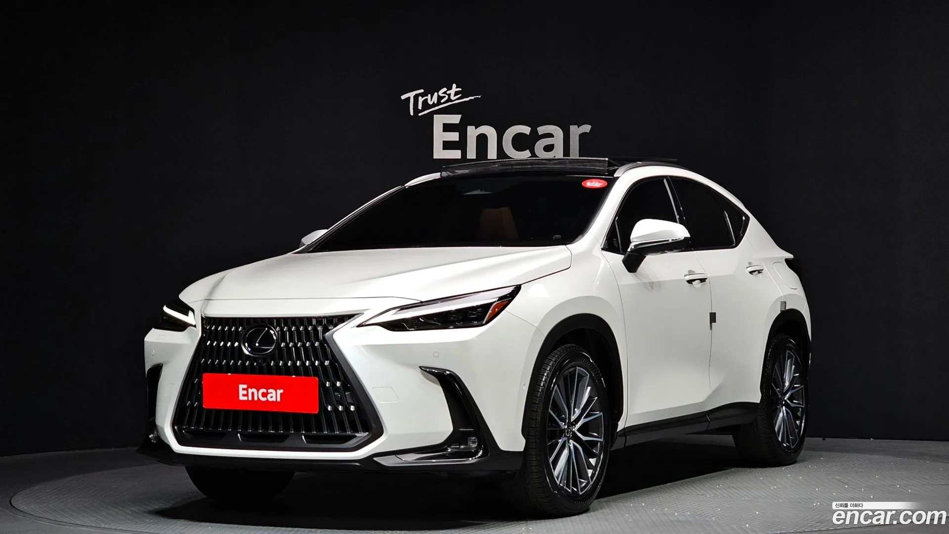 Lexus NX 350h 2024 — фото 3