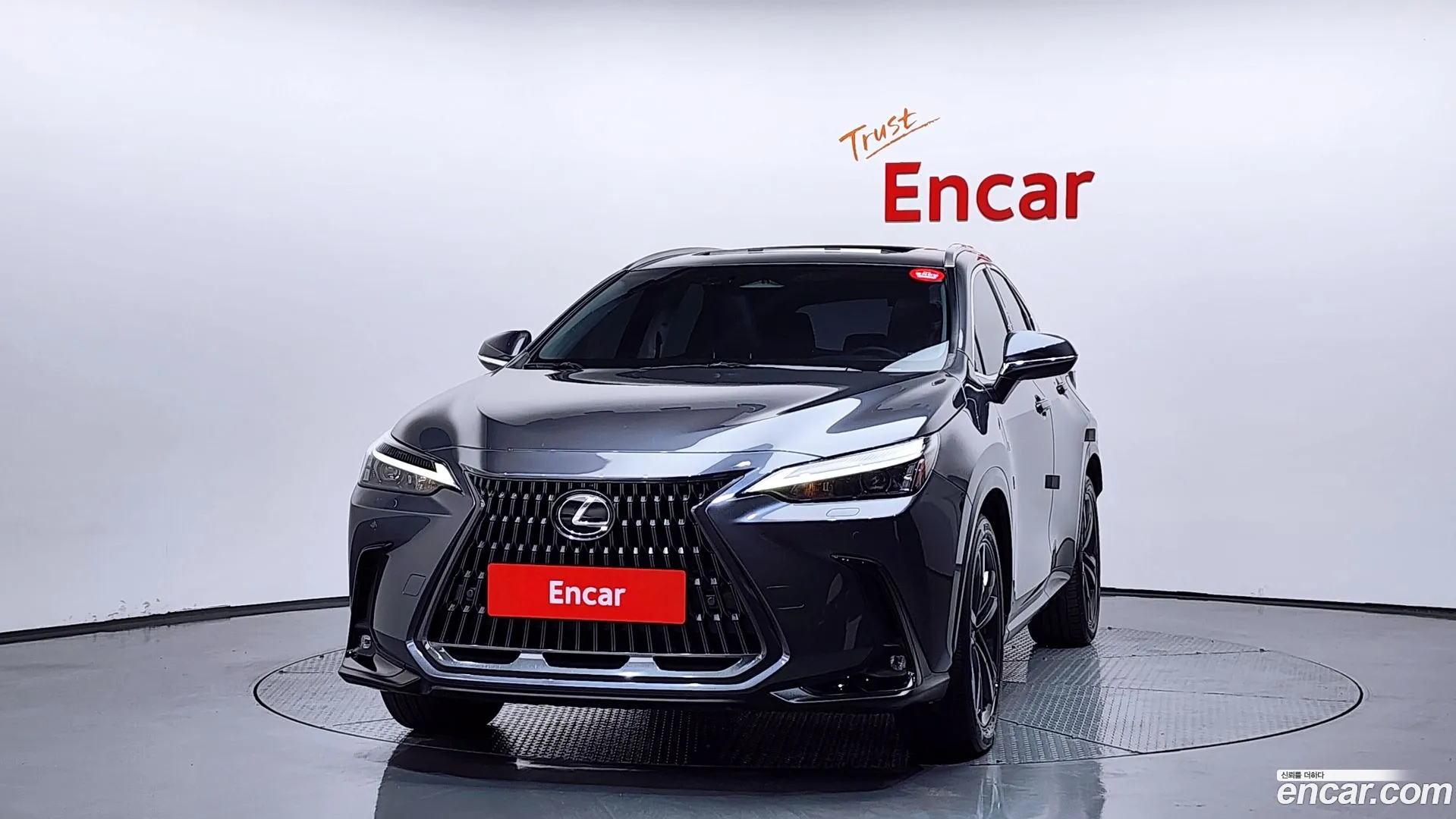 Lexus NX 350h 2023 — фото 3