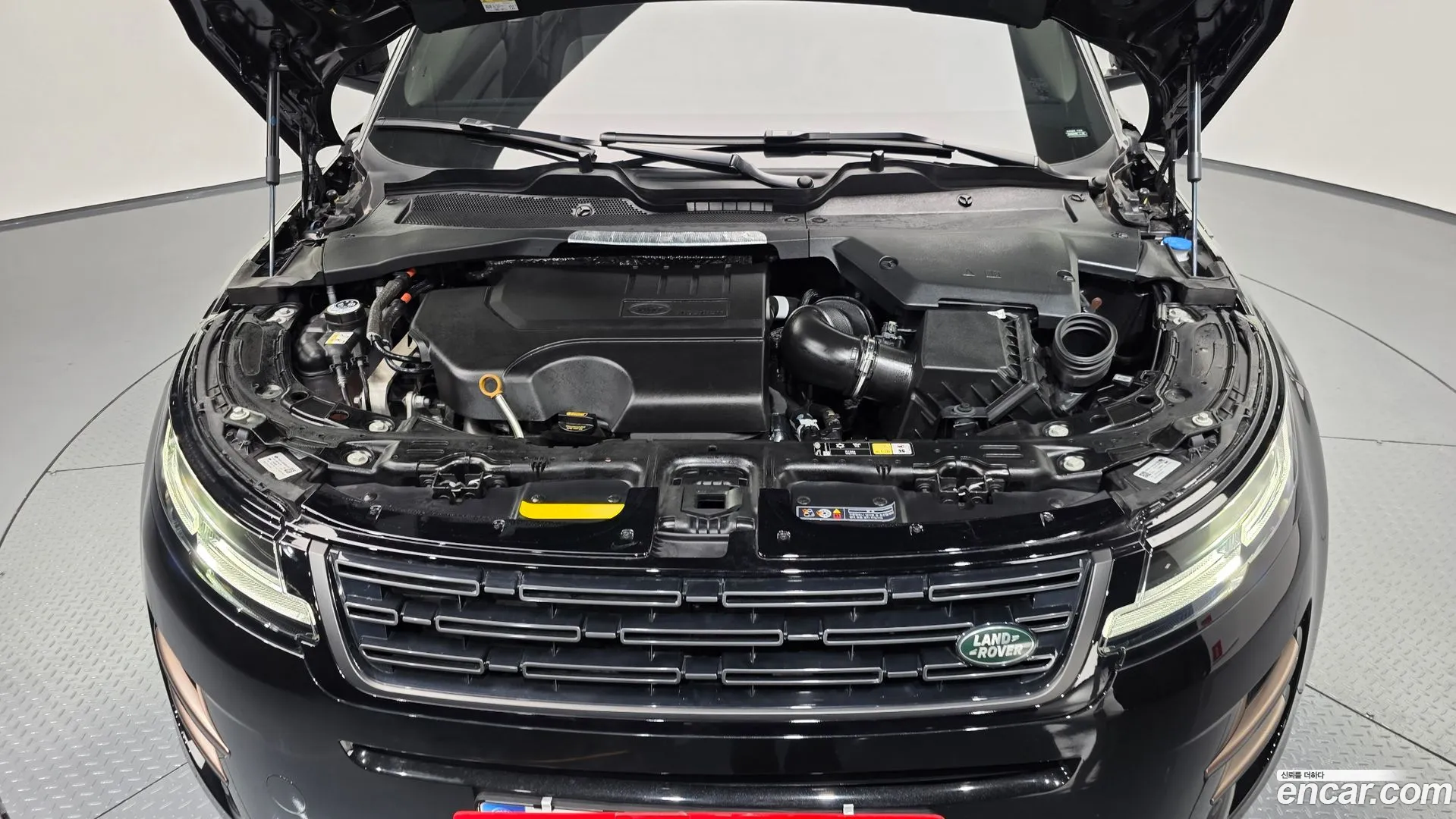 Land Rover Range Rover Evoque 2024 — фото 1