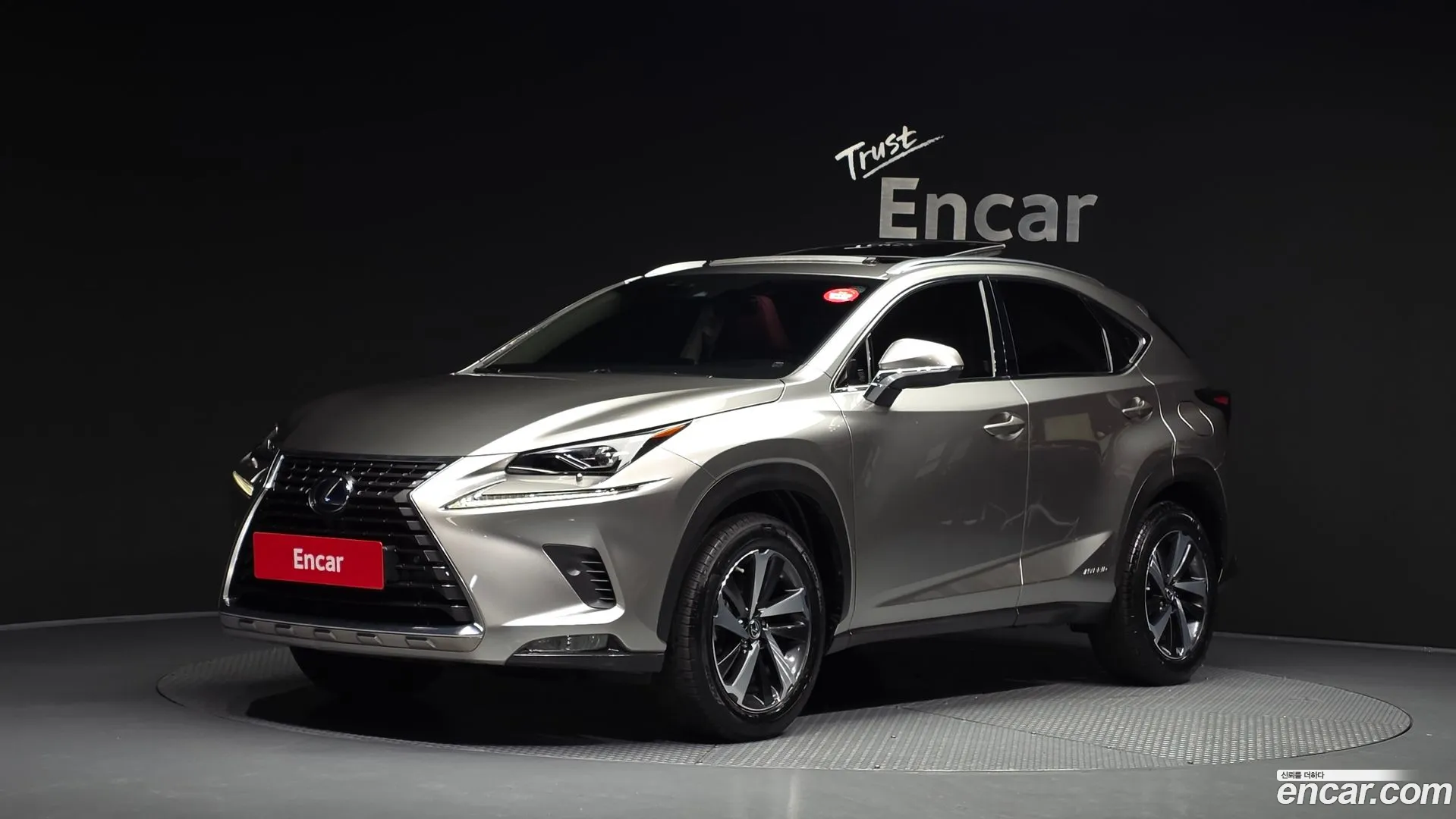 Lexus NX 300h 2021 — фото 1