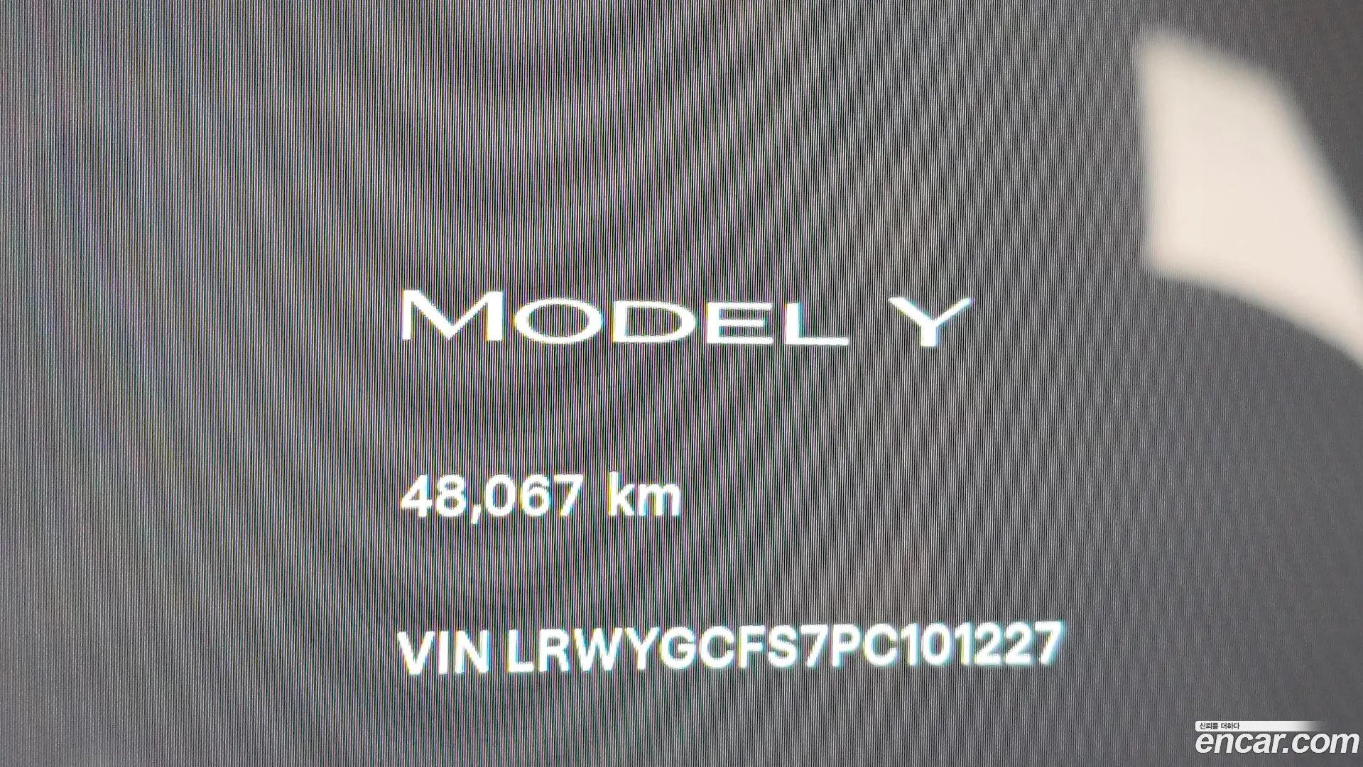 Tesla Model Y 2023 — фото 5