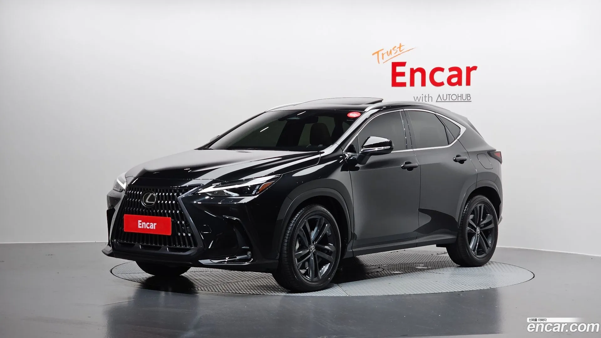 Lexus NX 350h 2023 — фото 1