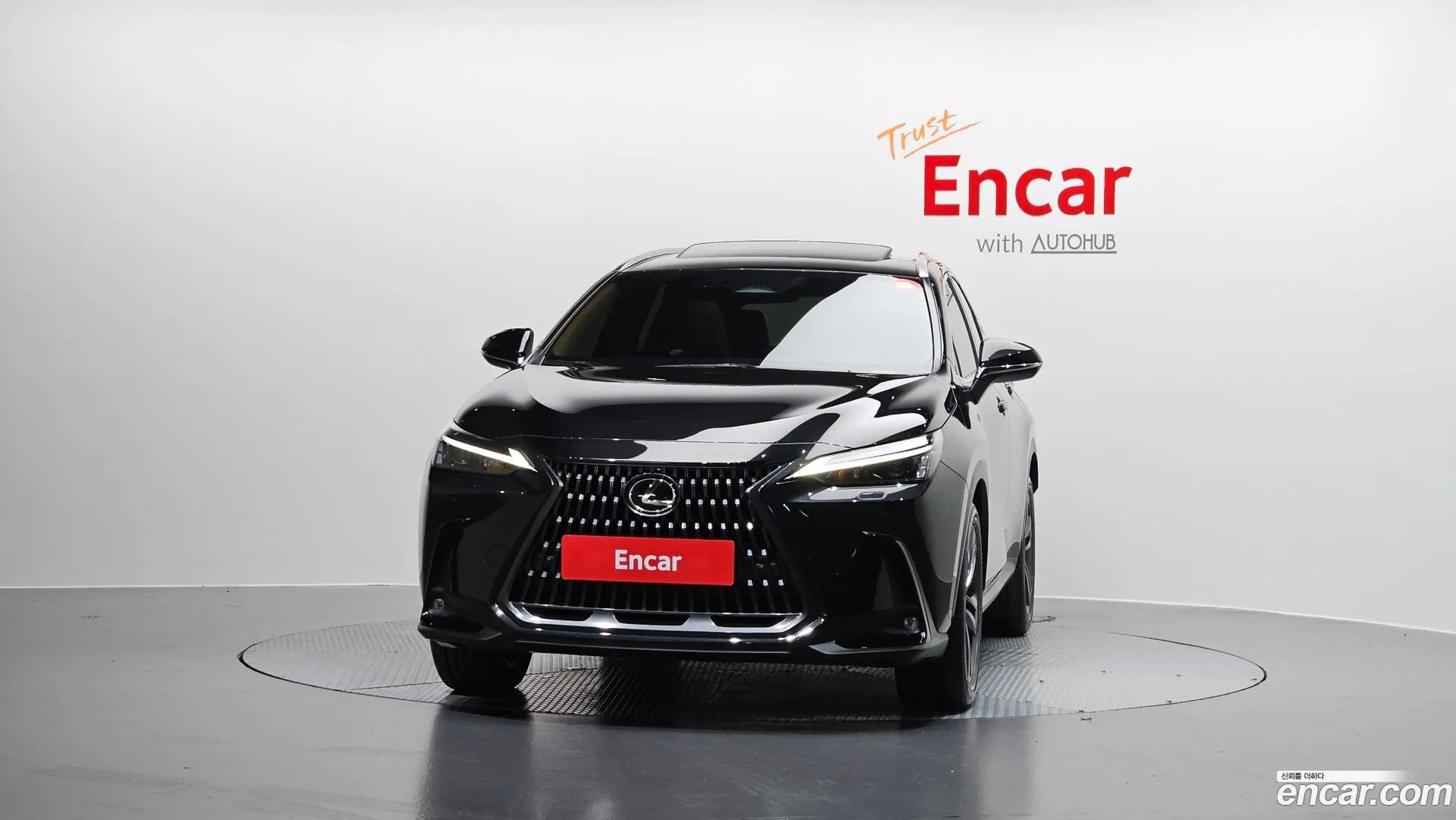 Lexus NX 350h 2023 — фото 2
