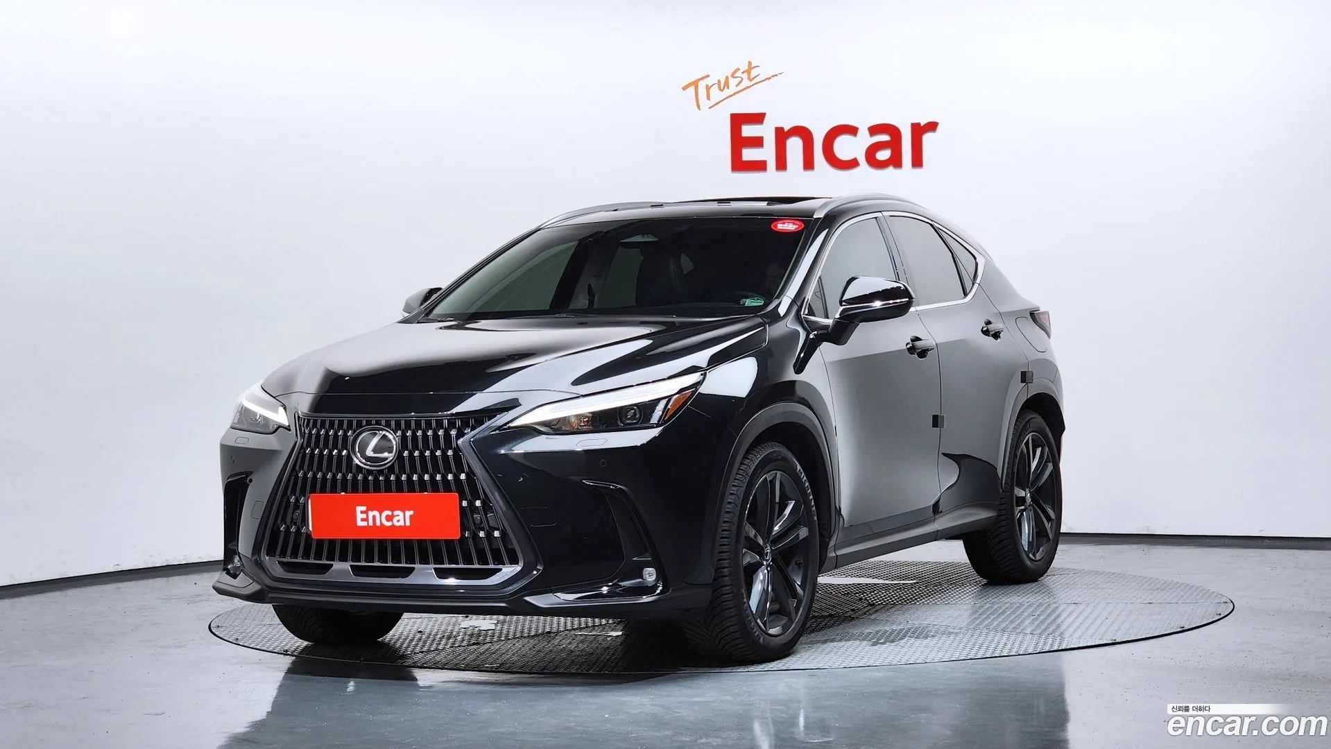 Lexus NX 350h 2023 — фото 5