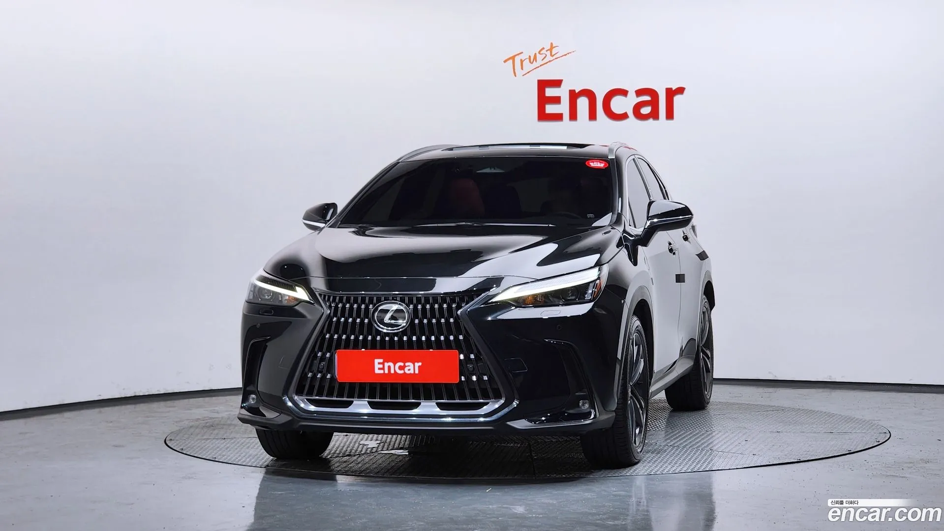 Lexus NX 350h 2025 — фото 2