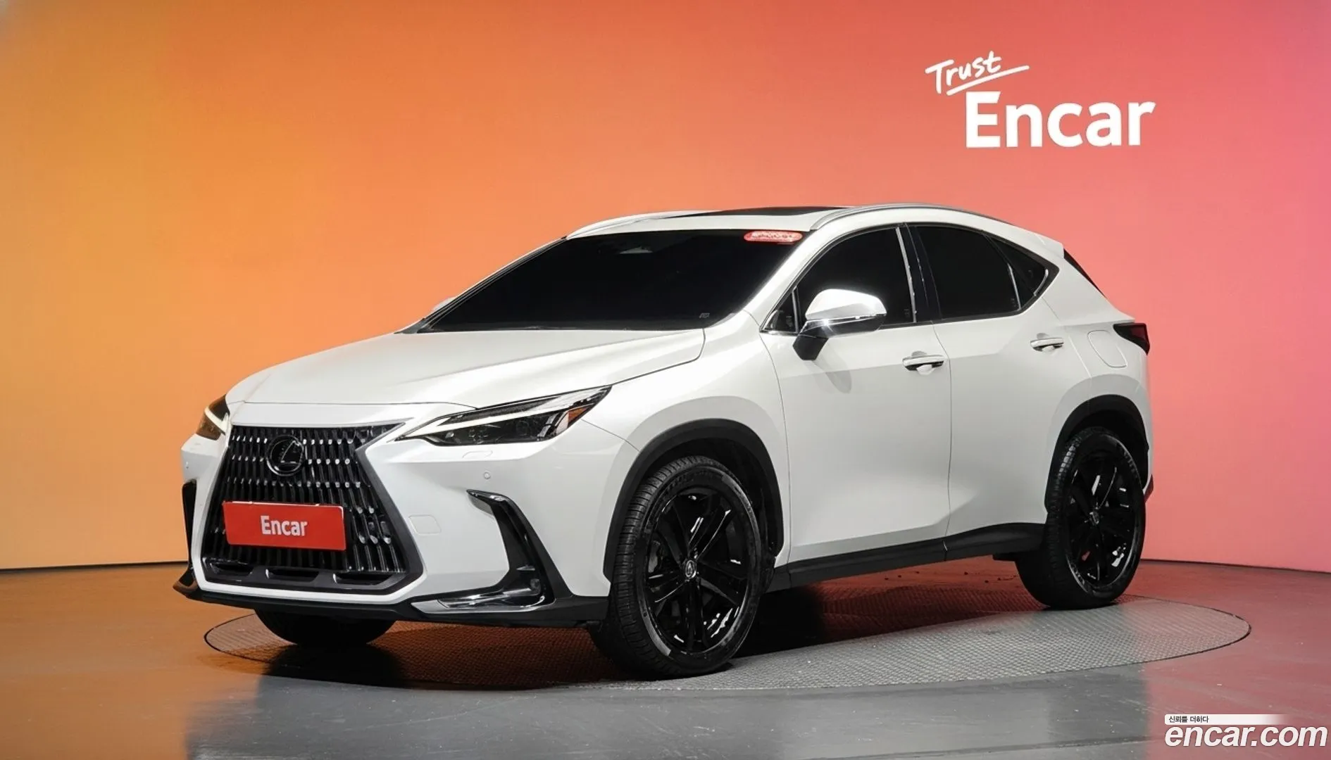 Lexus NX 350h 2022 — фото 2