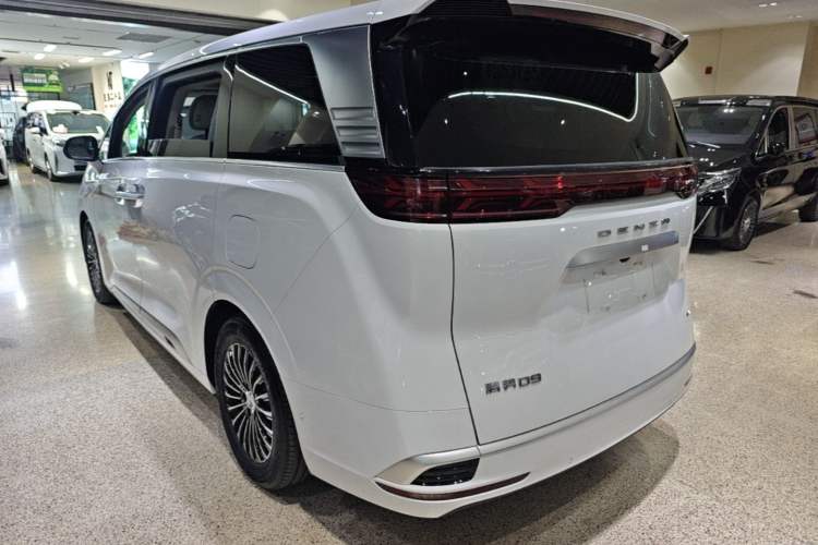 Denza D9 2022 — 4