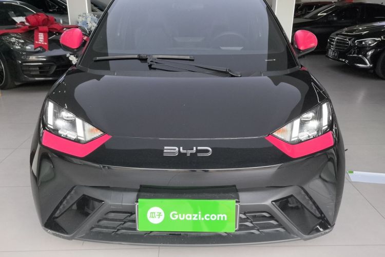 BYD Dolphin Mini 2025 — 2
