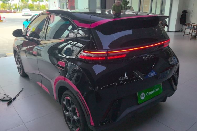 BYD Dolphin Mini 2025 — 4