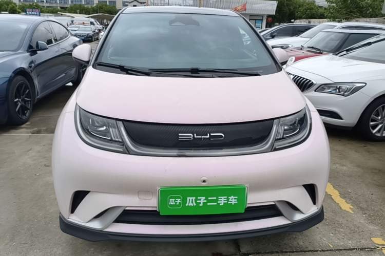 BYD Dolphin 2021 — 2