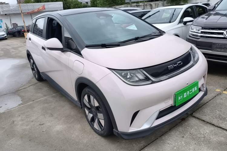 BYD Dolphin 2021 — 3