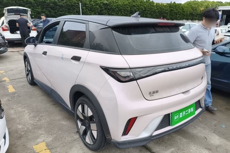 BYD Dolphin 2021 — 4