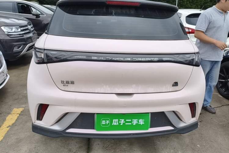 BYD Dolphin 2021 — 5