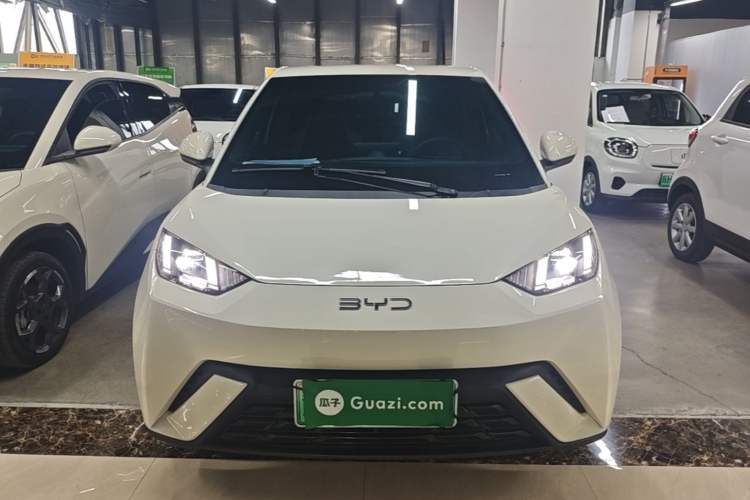 BYD Dolphin Mini 2025 — 2