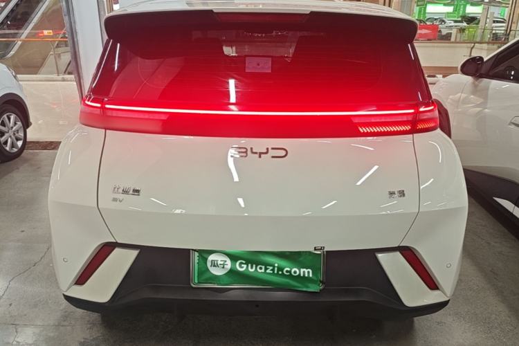 BYD Dolphin Mini 2025 — 5