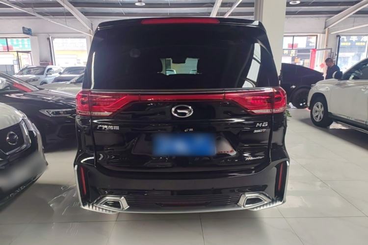 GAC Motor Trumpchi M8 2021 — фото 5
