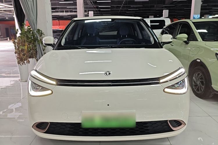 DongFeng NAMMI 01 2024 — 2