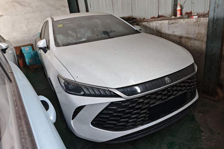 BYD Qin Plus 2025 — фото 3