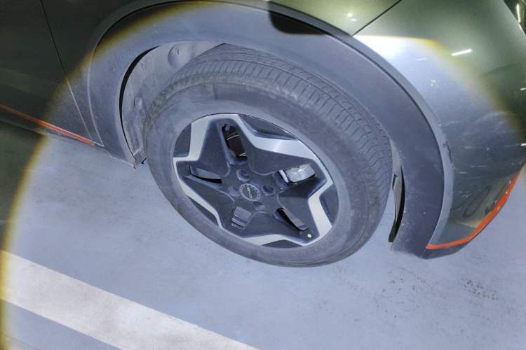 BYD Dolphin 2021 — 5