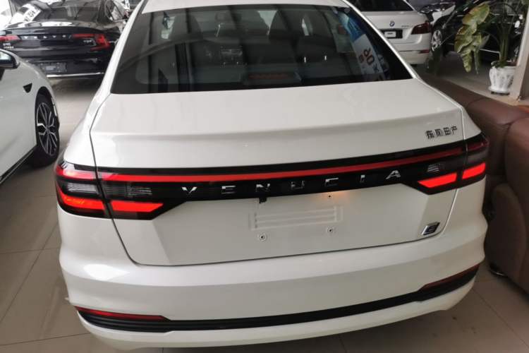 Venucia D60EV 2023 — 5