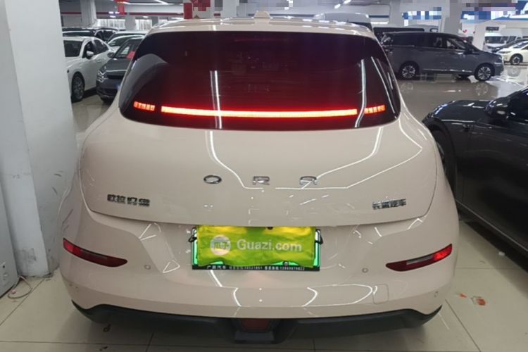 Ora Good Cat 2024 — 5