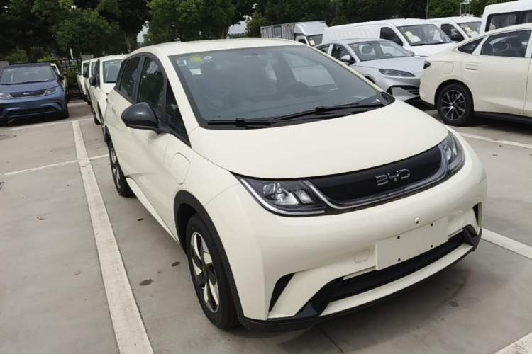 BYD Dolphin 2025 — 3