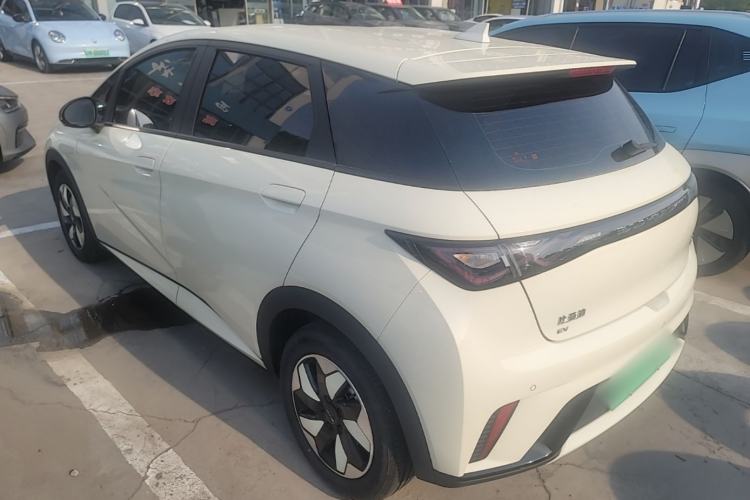 BYD Dolphin 2024 — 4