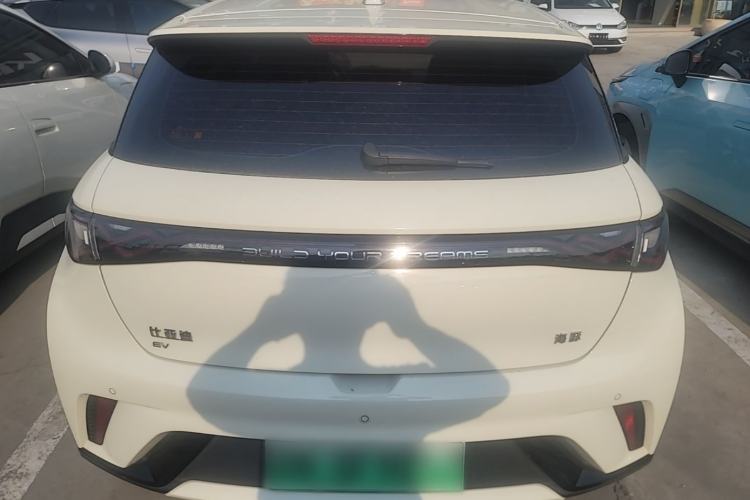BYD Dolphin 2024 — 5