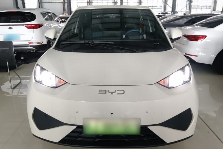 BYD Seagull 2025 — 2