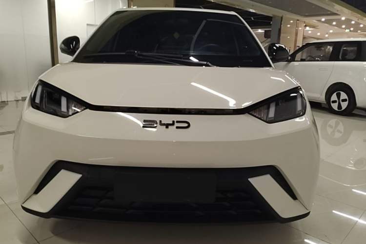 BYD Dolphin Mini 2025 — фото 2