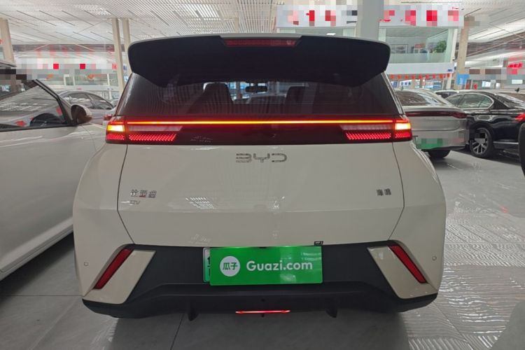 BYD Seagull 2024 — 5