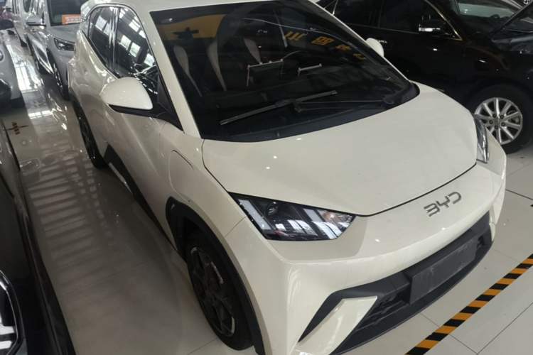 BYD Dolphin Mini 2025 — фото 3