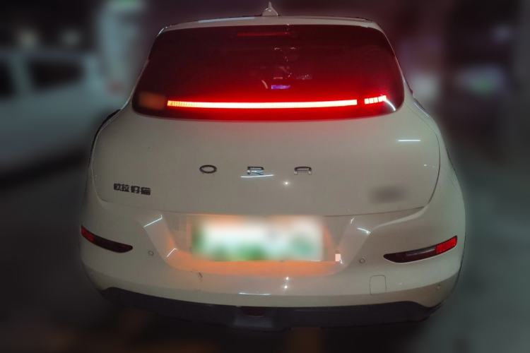 Ora Good Cat 2024 — 5