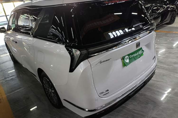 Buick GL8 New Energy 2024 — 4