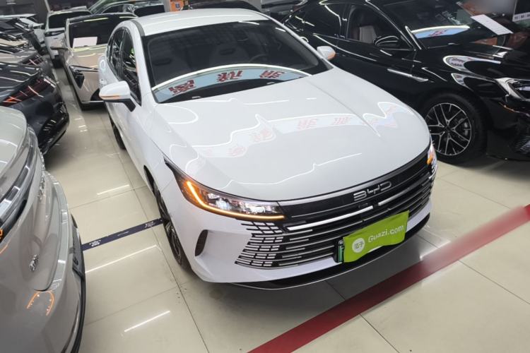 BYD Destroyer 05 2024 — 3