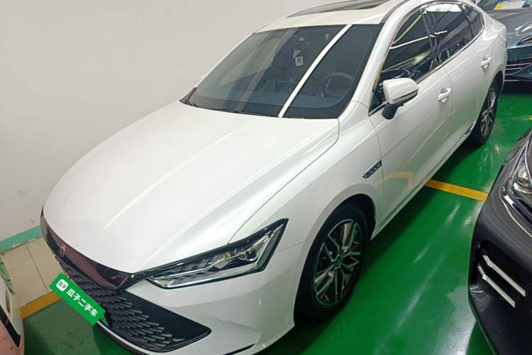 BYD Qin PLUS 2021 — фото 1