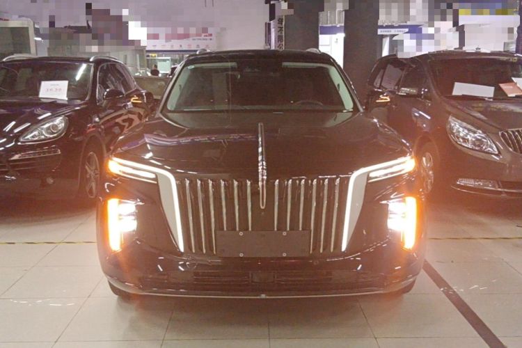 Hongqi E-HS9 2021 — 2