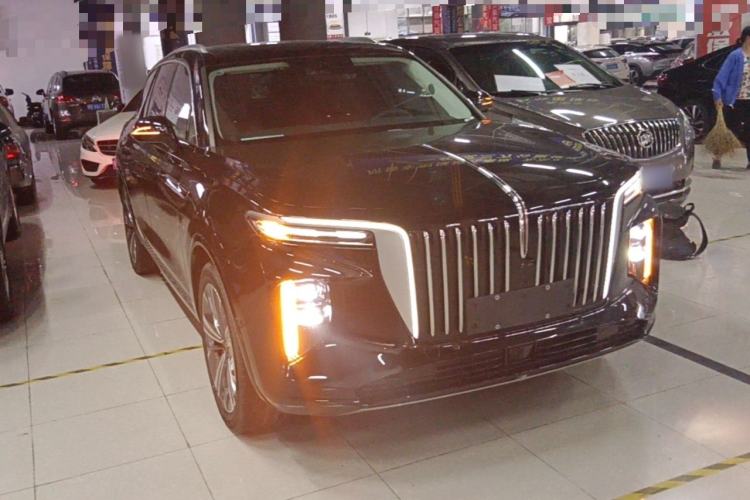 Hongqi E-HS9 2021 — 3