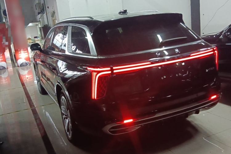 Hongqi E-HS9 2021 — 4