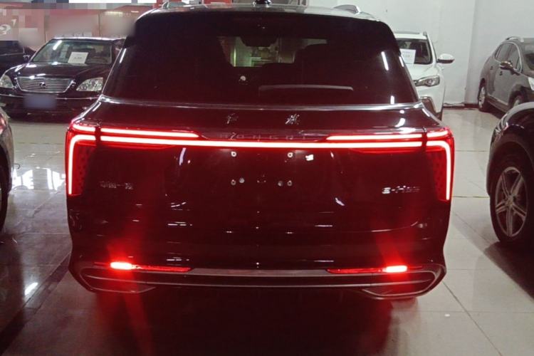 Hongqi E-HS9 2021 — 5