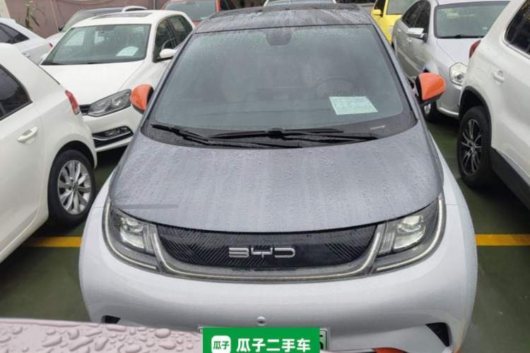 BYD Dolphin 2021 — 2