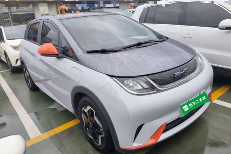 BYD Dolphin 2021 — 3