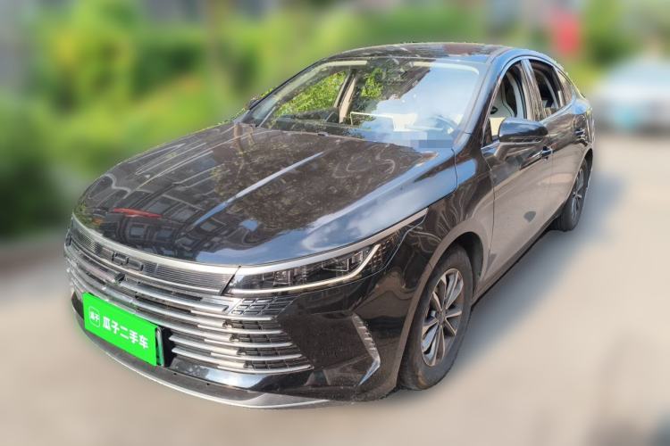 BYD Destroyer 05 2024 — фото 1