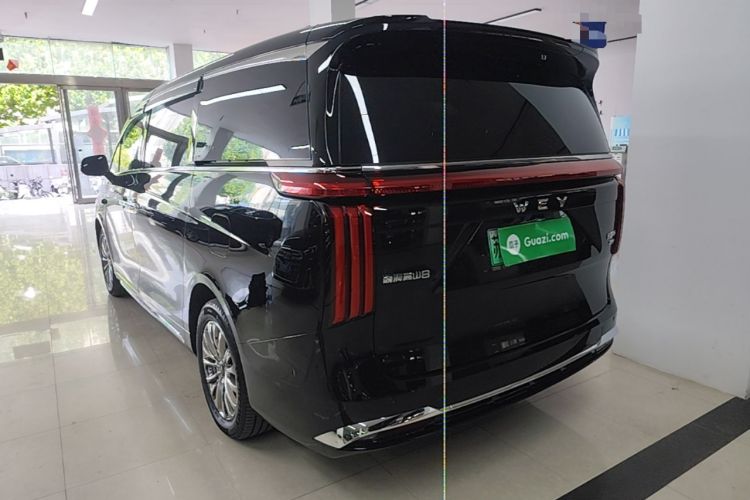 WEY Gaoshan 2025 — 4