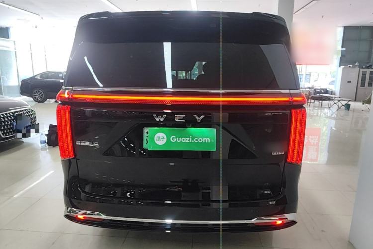 WEY Gaoshan 2025 — 5
