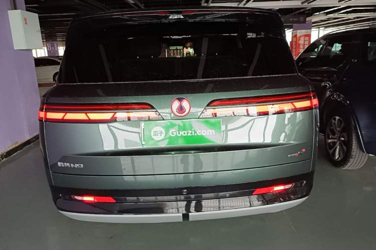 Denza N9 2025 — 5