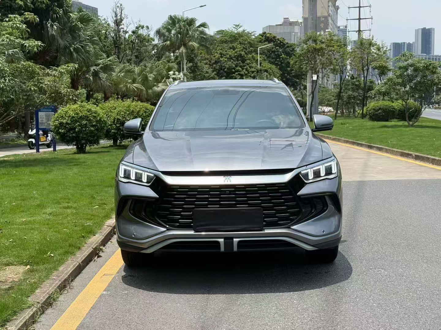 BYD Song Pro New Energy 2024 — фото 2