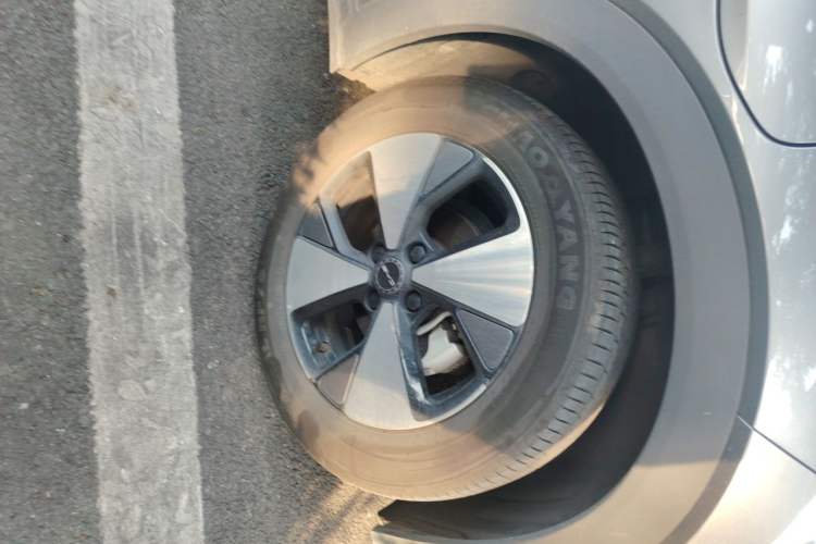 BYD Dolphin 2023 — 5